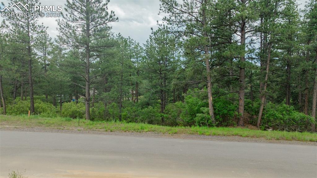 Image 4 of 10: Community