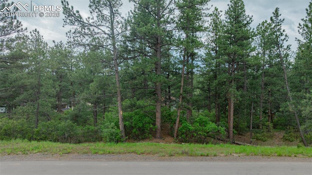 Image 5 of 10: Community