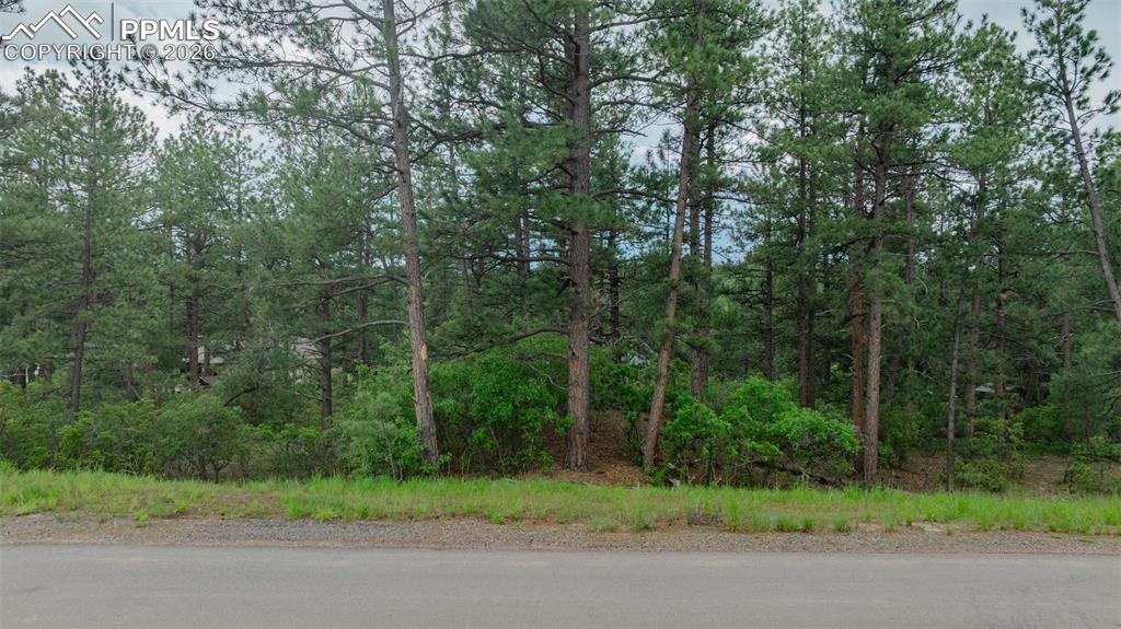 Image 6 of 10: Community