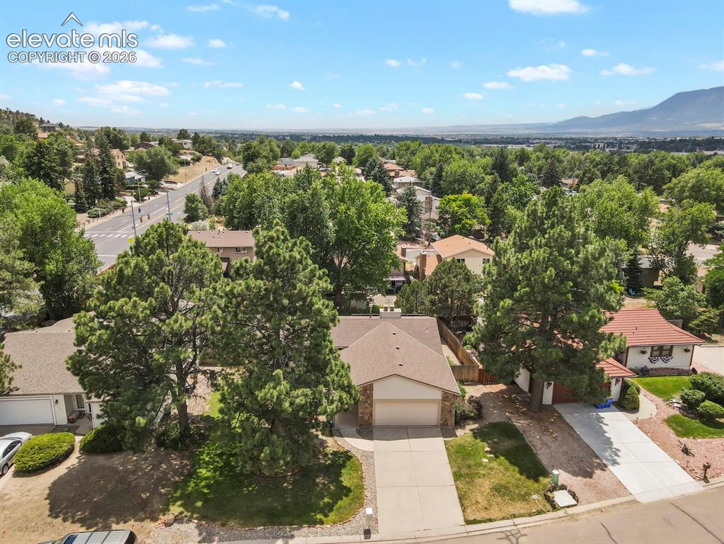 Image 44 of 50: Expansive suburban neighborhood featuring numerous mature trees and distant