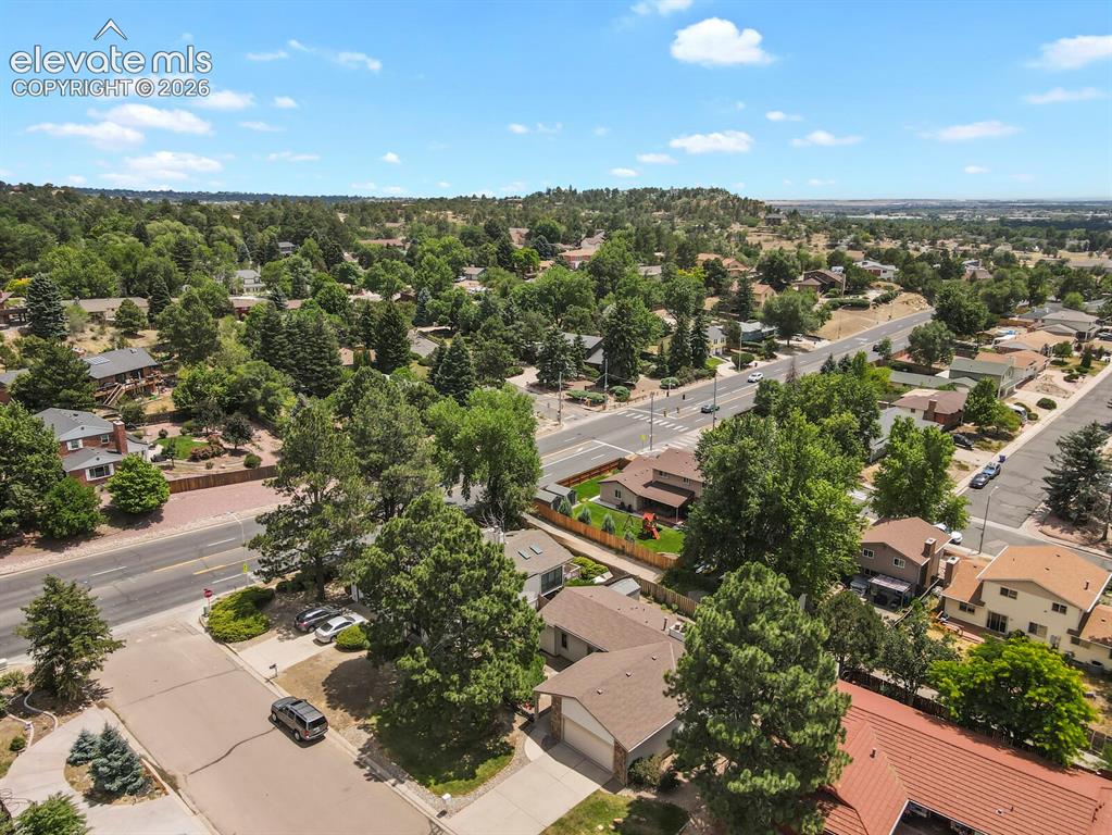 Image 46 of 50: Expansive residential area featuring numerous mature trees and varied archi