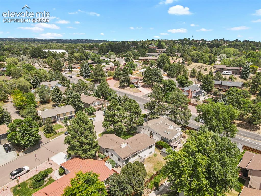 Image 47 of 50: Residential neighborhood featuring mature trees and established homes