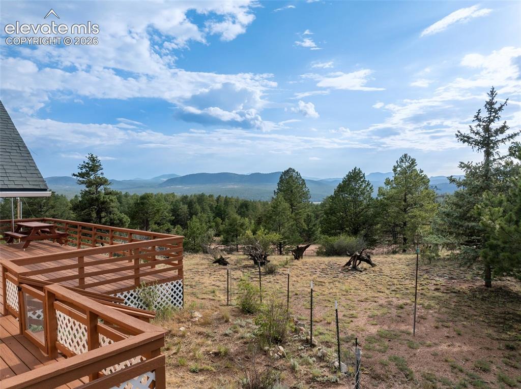 Image 47 of 50: View