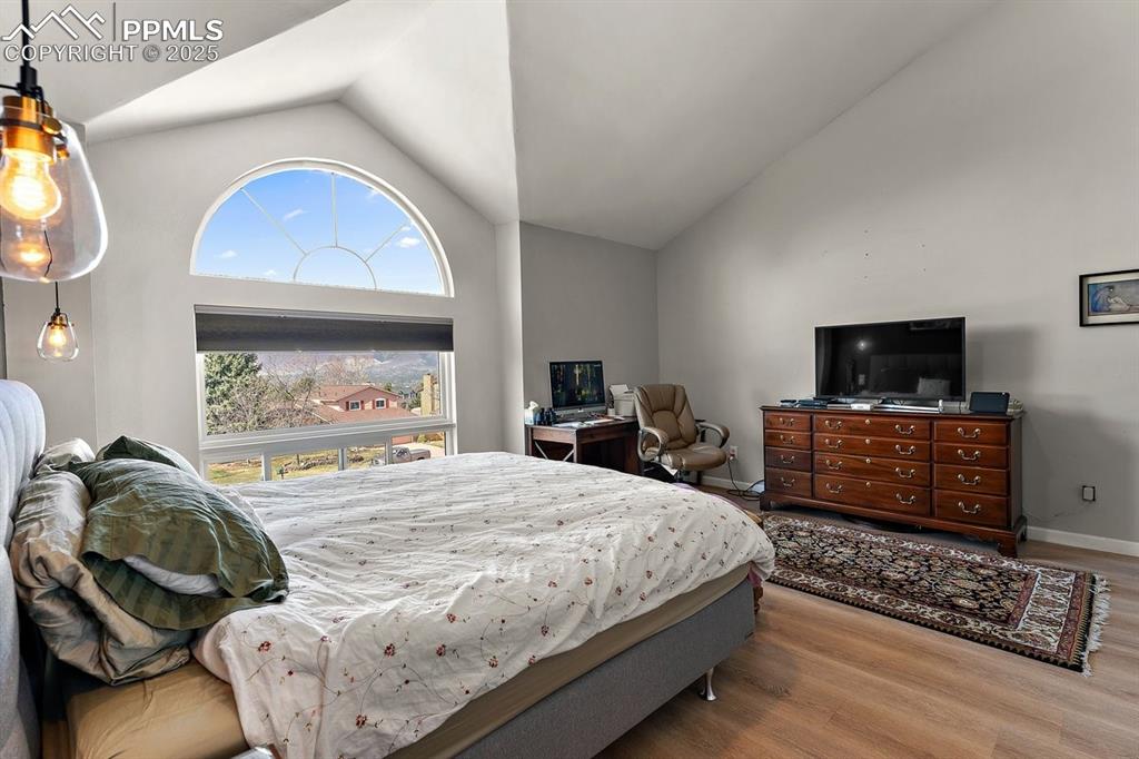 Image 25 of 41: Bedroom featuring multiple windows, wood finished floors, and high vaulted 