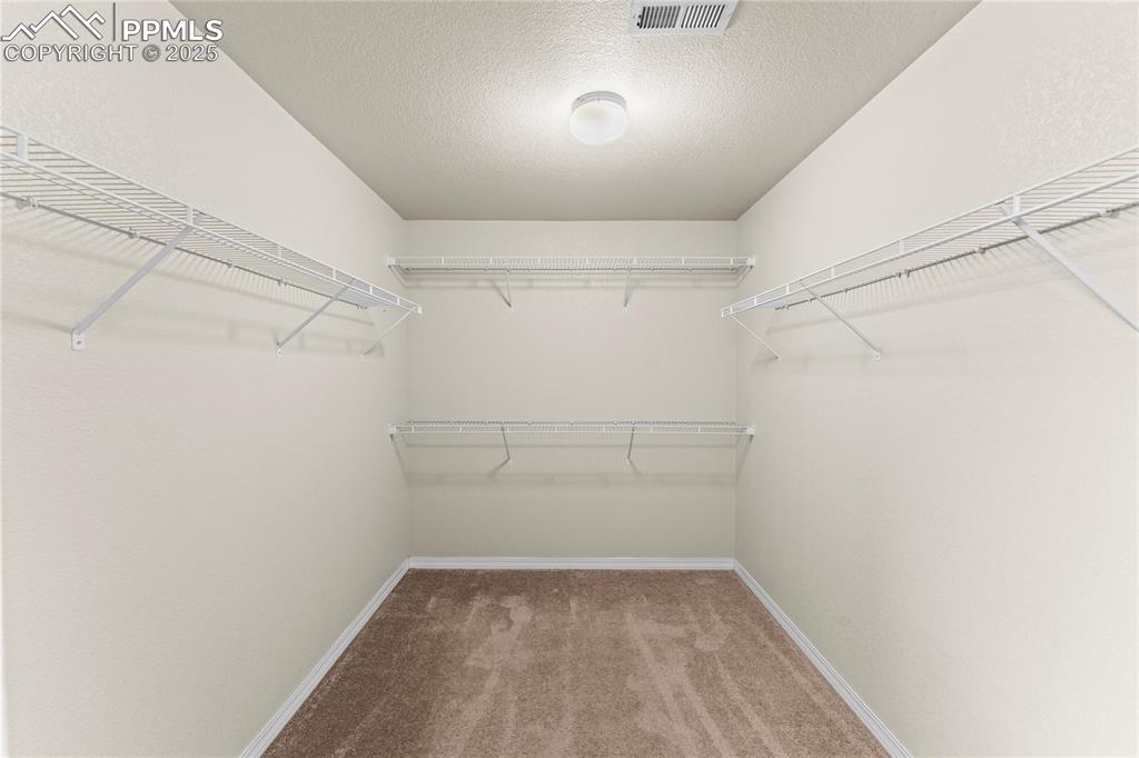 Image 20 of 30: Walk in closet featuring light carpet