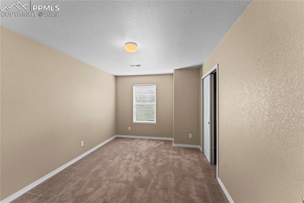 Image 23 of 30: Unfurnished bedroom with a textured wall, carpet floors, and a textured cei