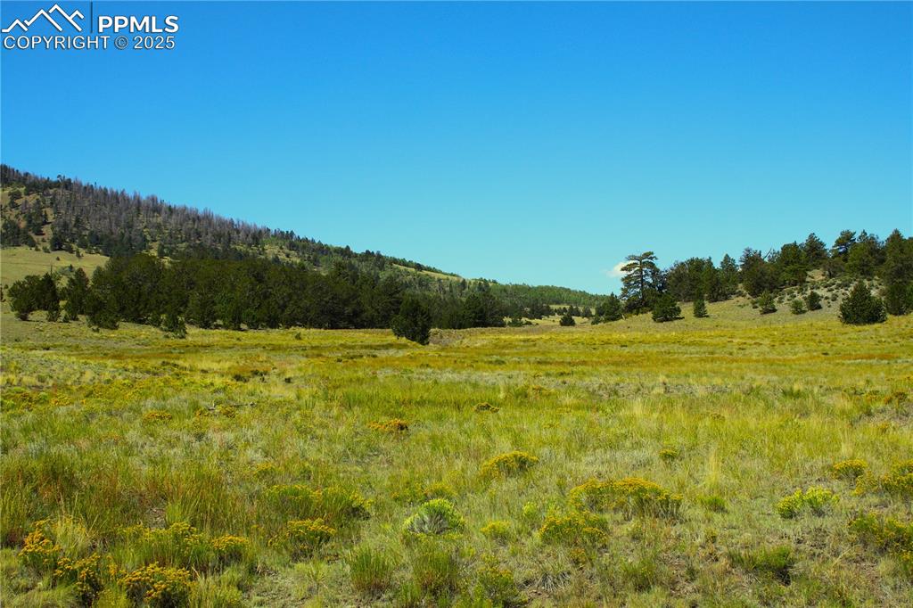 Image 2 of 8: View of landscape with a rural view