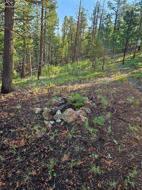 Image 10 of 35: Other