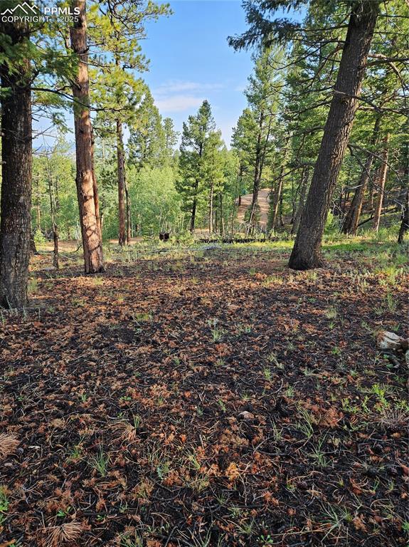 Image 11 of 35: Other