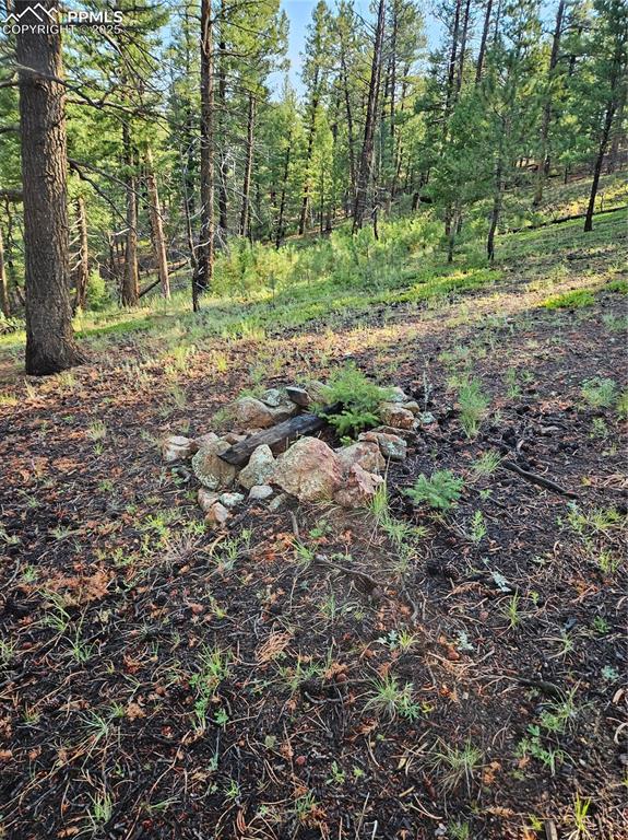 Image 13 of 35: Other