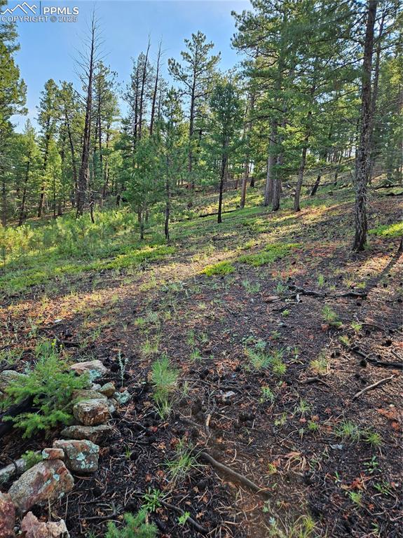 Image 15 of 35: Other