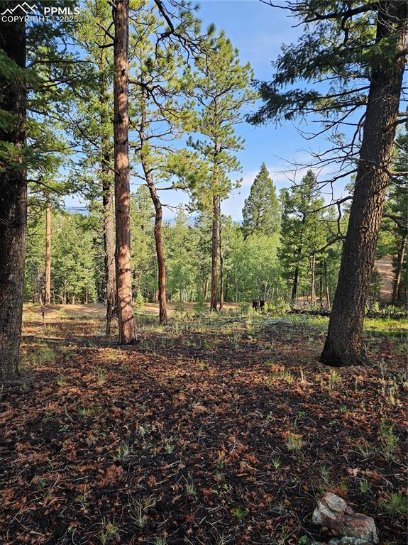 Image 16 of 35: Other