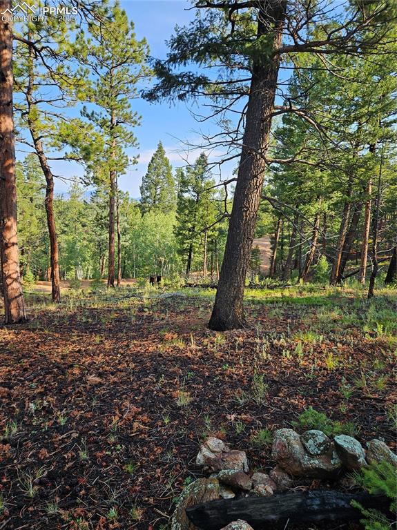 Image 17 of 35: Other