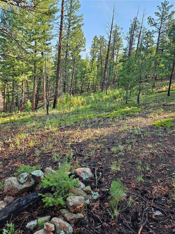 Image 18 of 35: Other