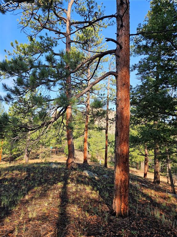 Image 19 of 35: Other