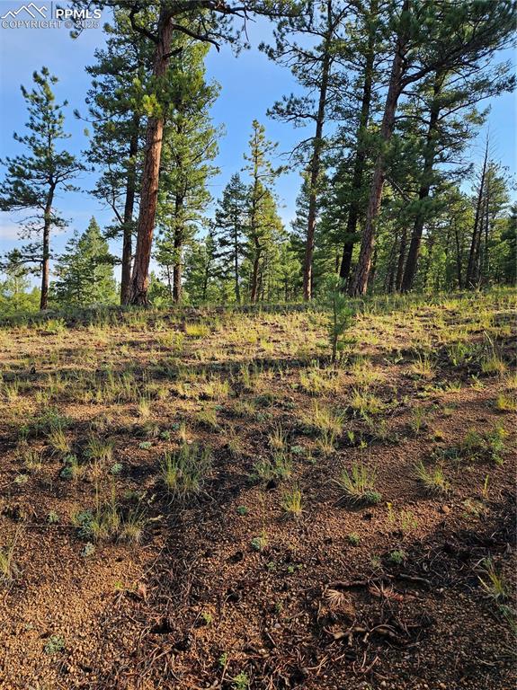 Image 2 of 35: Other