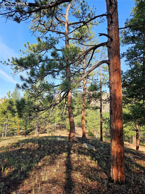 Image 20 of 35: Other