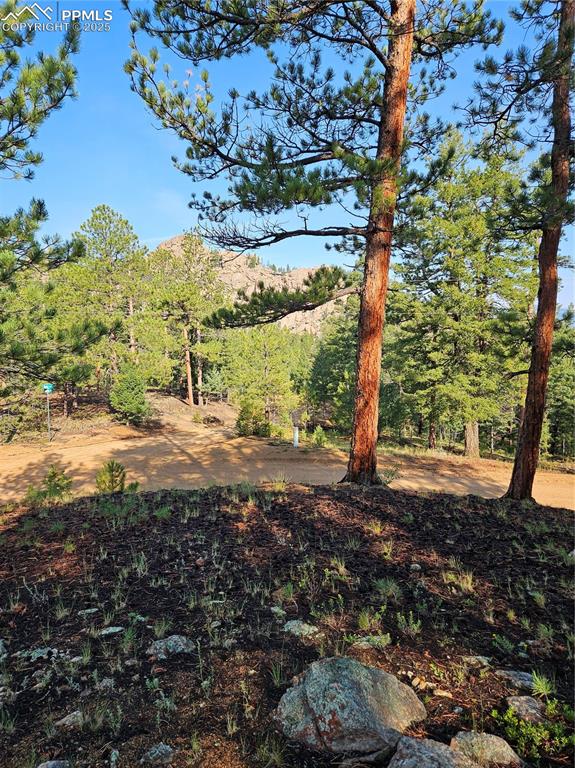 Image 21 of 35: Other