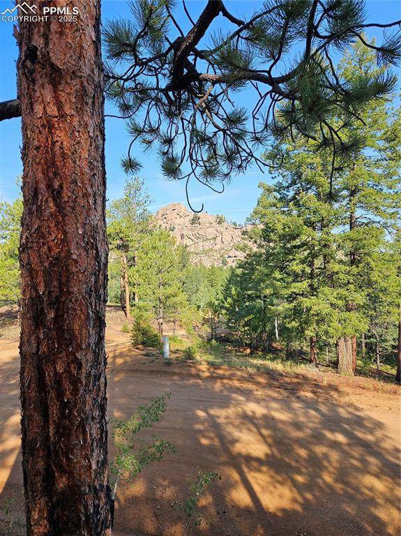 Image 23 of 35: Other