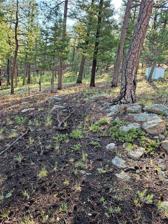 Image 24 of 35: Other