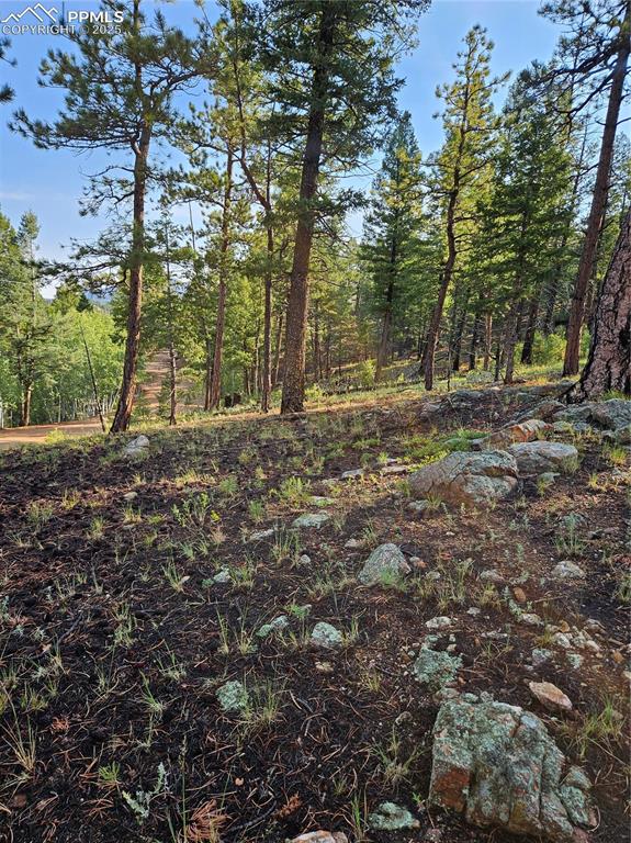 Image 25 of 35: Other