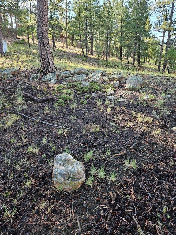 Image 26 of 35: Other