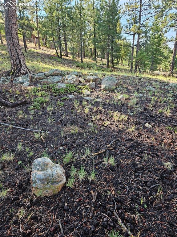 Image 27 of 35: Yard