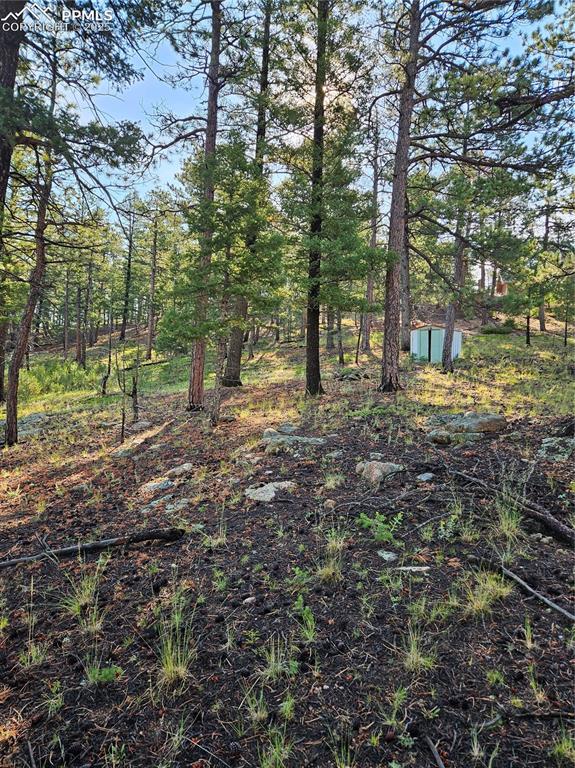 Image 28 of 35: Other