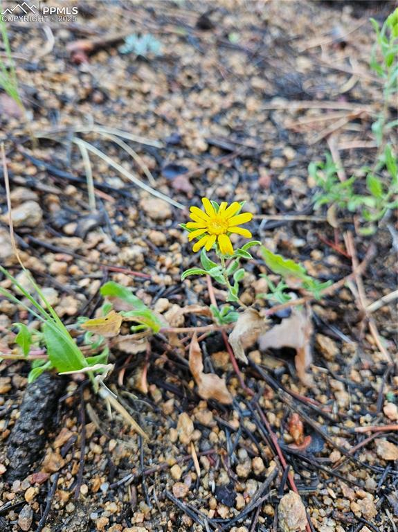 Image 29 of 35: Other