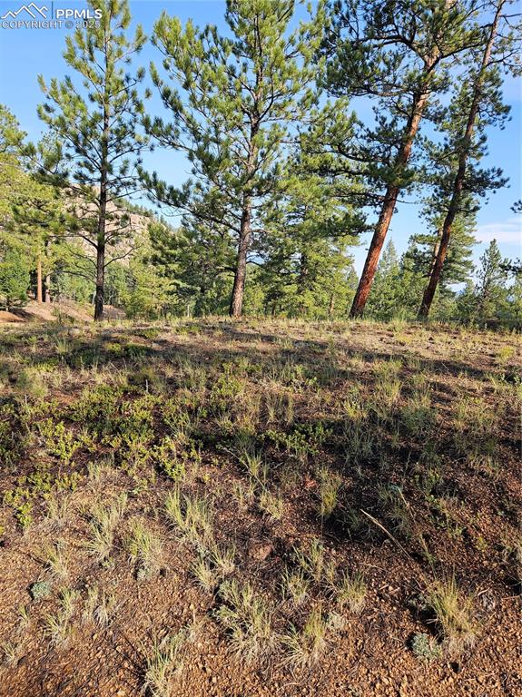 Image 3 of 35: Other