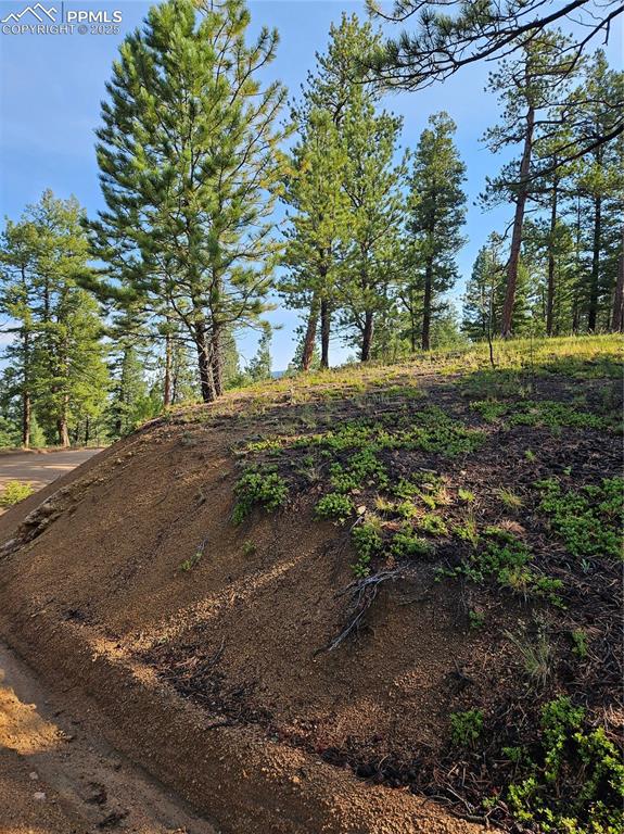 Image 30 of 35: Yard