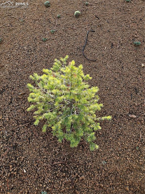 Image 31 of 35: Other