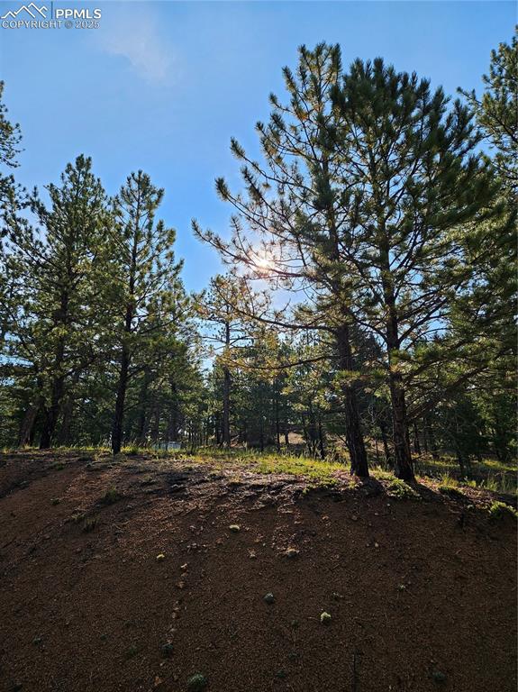 Image 32 of 35: Yard