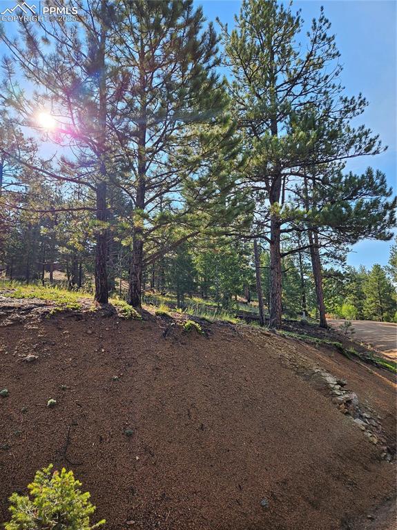 Image 33 of 35: Yard