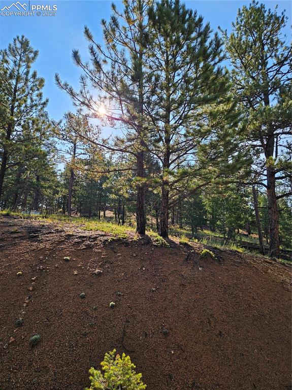 Image 34 of 35: Yard