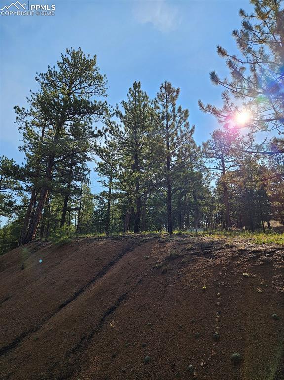 Image 35 of 35: Community