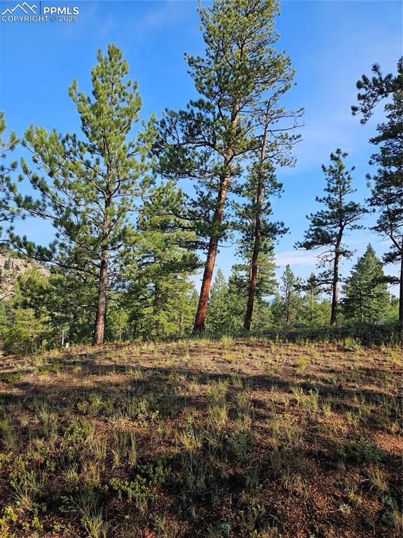 Image 5 of 35: Other