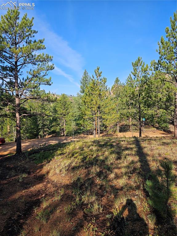 Image 6 of 35: Other