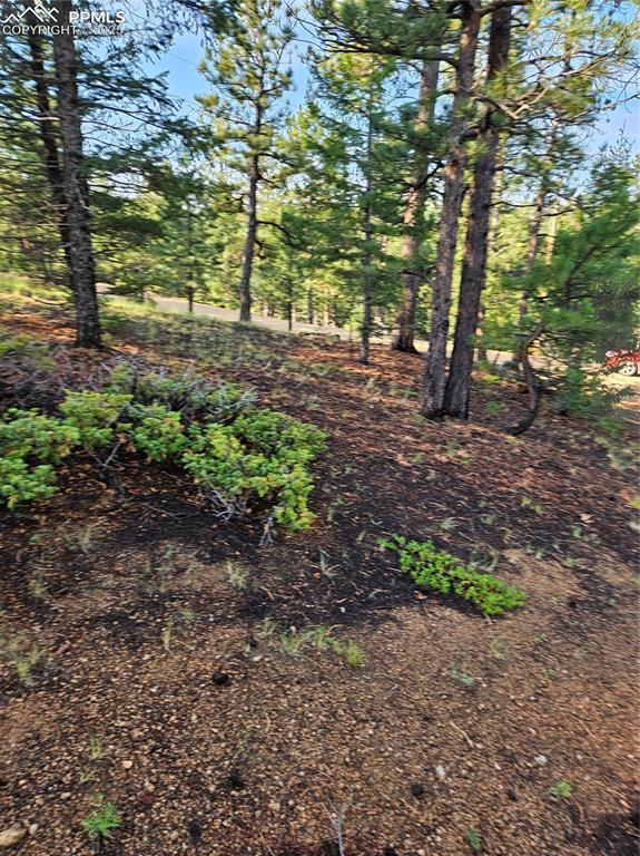 Image 8 of 35: Other