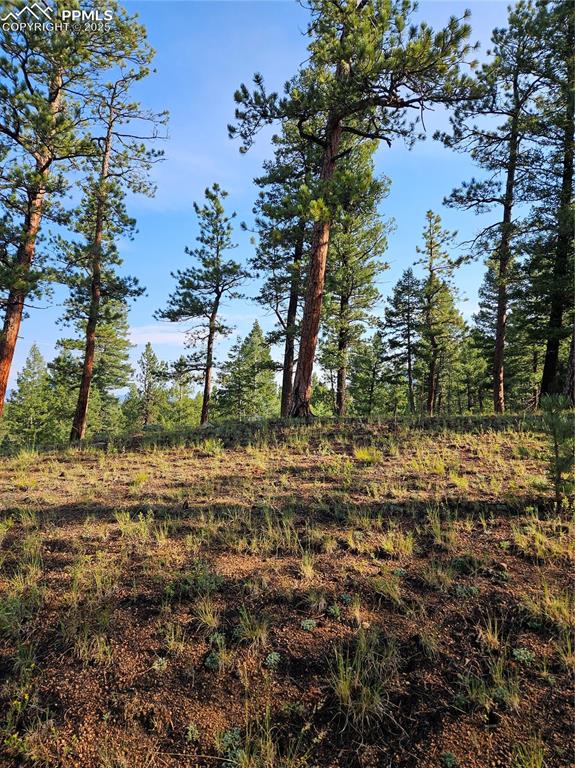 Image 9 of 35: Other