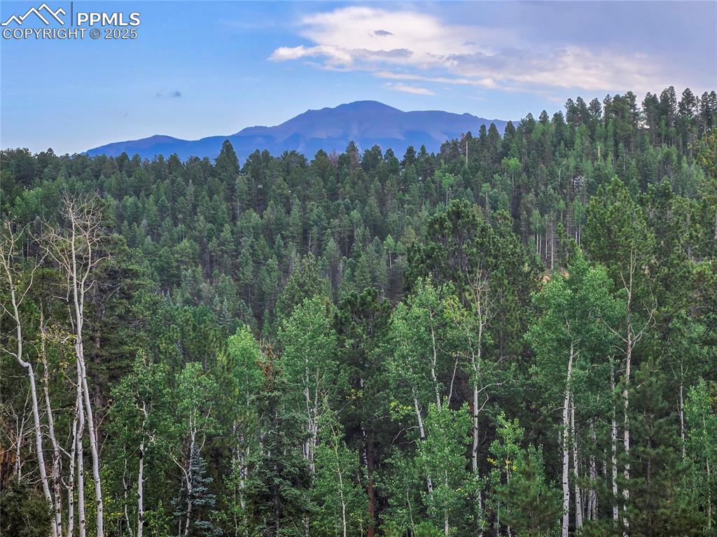 Image 5 of 50: Beautiful setting with trees surrounding the home.