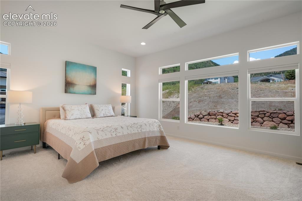 Image 18 of 50: Carpet and ceiling fan