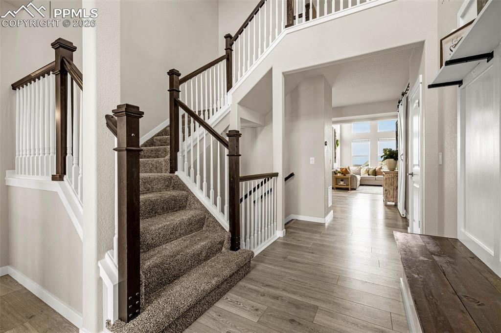 Image 5 of 50: Other