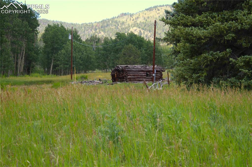 Image 5 of 17: Other