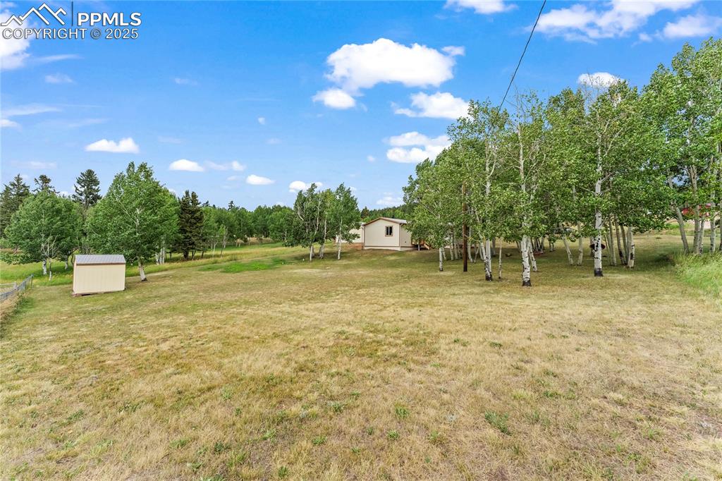 Image 29 of 30: View of grassy yard with a storage shed