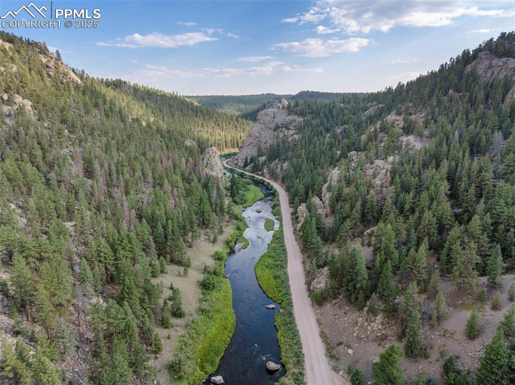 Image 33 of 38: Eleven Mile Canyon Nearby for Outdoor Recreation