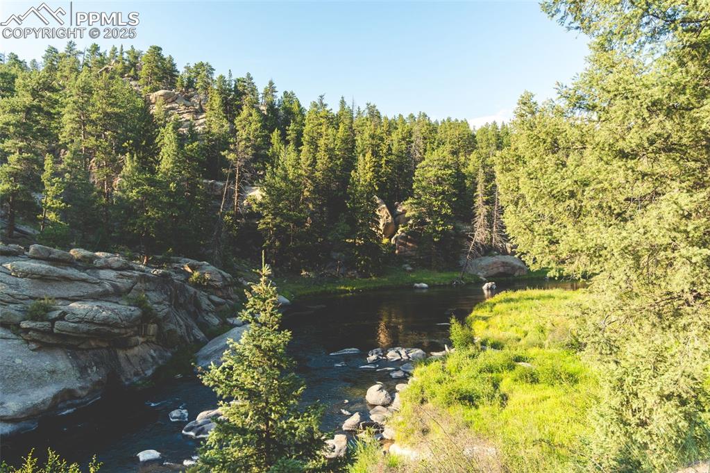 Image 35 of 38: Eleven Mile Canyon Nearby for Outdoor Recreation