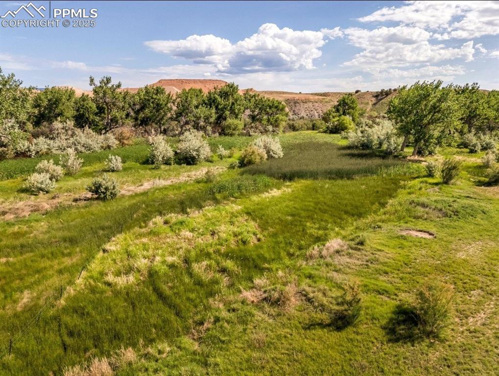 Image 27 of 39: Yard