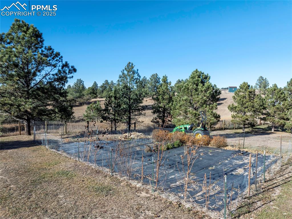 Image 46 of 50: Yard