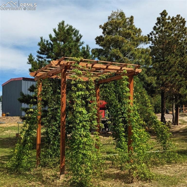 Image 49 of 50: Hopps in season.